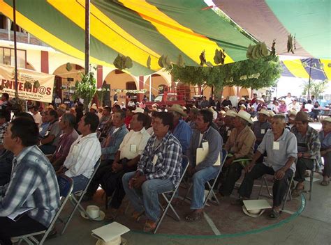 Comunidades Oaxaque As Se Declaran Libres De Miner A Sididh