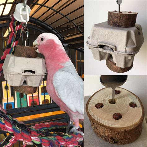 Easy Homemade Parrot Toys At Jeanette Lamarr Blog