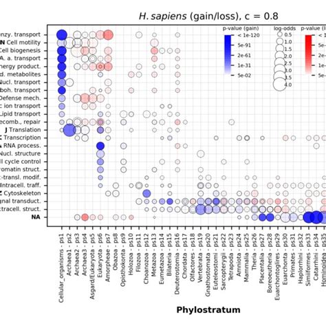 The Enrichment Of COG Functional Categories In Gained And Lost Gene