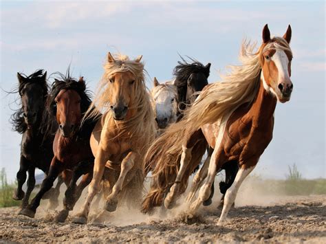 Каталог | Пикабу