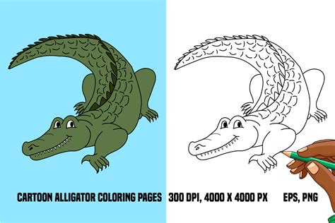 Cartoon Alligator Coloring Pages Graphic By Yulidor · Creative Fabrica