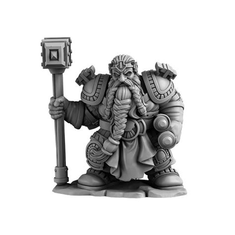 Next Level Miniatures: Dwarf Paladin | Tabletop Miniatures | Miniature Market