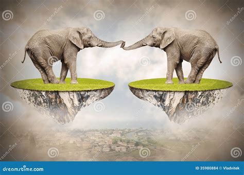 Loving Elephants. Stock Images - Image: 35980884