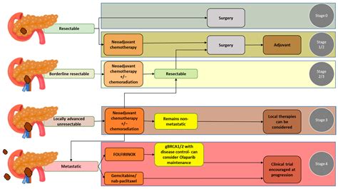 Jcm Free Full Text Ct Imaging Assessment Of Pancreatic