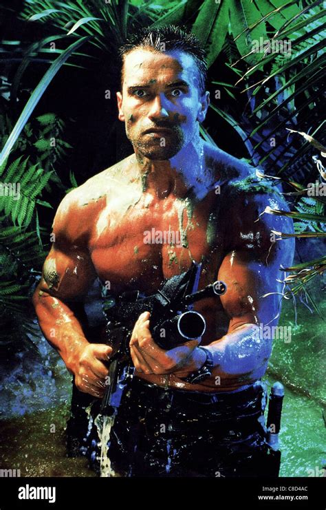 ARNOLD SCHWARZENEGGER depredador 1987 Fotografía de stock Alamy