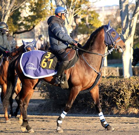 【注目馬動向】ホープフルs3着のキングズレインが報知杯弥生賞ディープインパクト記念を回避 23日から発熱 スポーツ報知