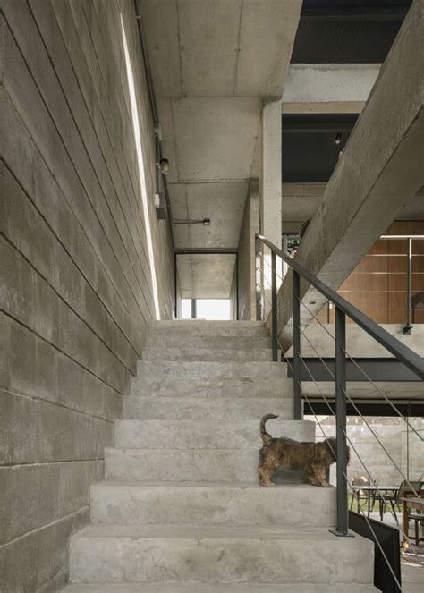 Gallery Of Naked House Penta Arquitectura 1 Artofit