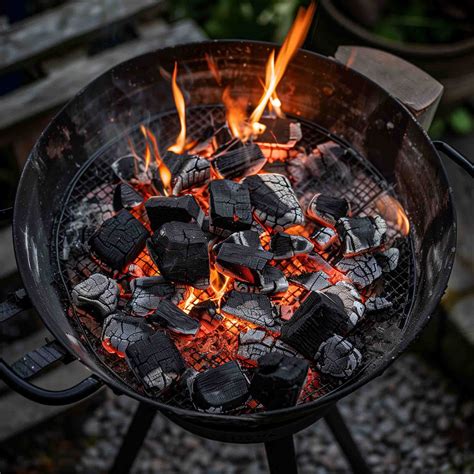 how to start a grill 10