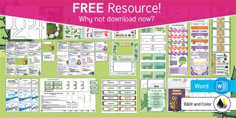 FREE Forest School Teaching Pack Lehrer Gemacht Twinkl