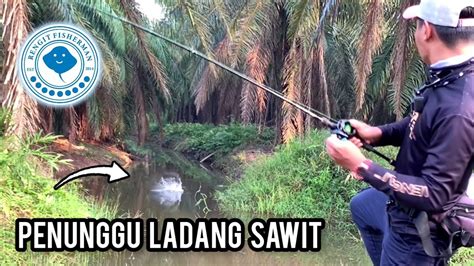 Casting Haruan Jangan Abaikan Parit Ini Shimano Slx Hg Vlog