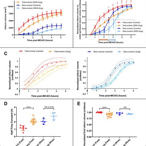 Quantification Of Infarct Growth And Final Infarct Volumes With And