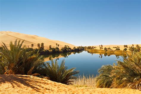 60+ Ubari Oasis Fezzan Libya Stock Photos, Pictures & Royalty-Free ...