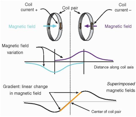 Magnetic Resonance Basics Magnetic Fields Nuclear Magnetic