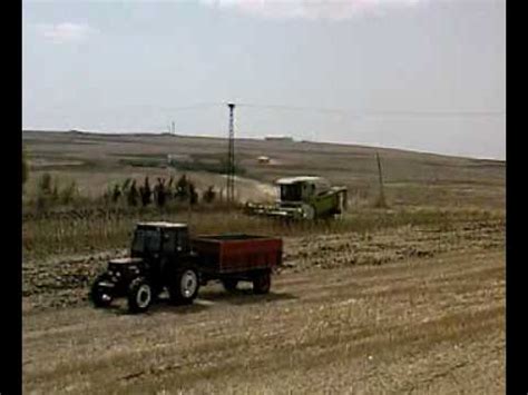 CLAAS MEDION 340 IS HARVESTING THE SUNFLOWER 2008 COMBINE