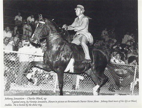 Riding & Writing...: Charles A. Black, Equestrian