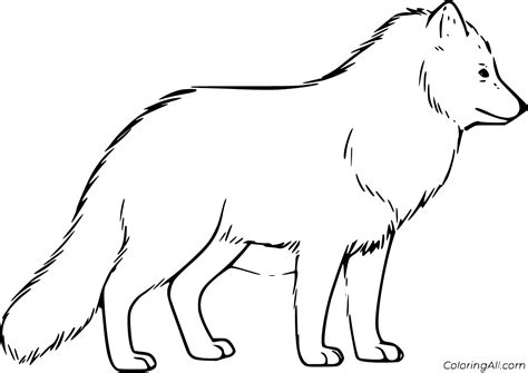 Arctic Fox Coloring Pages 8 Free Printables ColoringAll