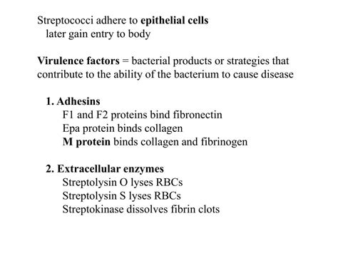 PPT Streptococci Gram Positive Cocci Chains Of Spherical Cells