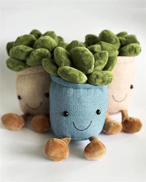 Succulent Plush Toy Blue Chelsea Chelsea