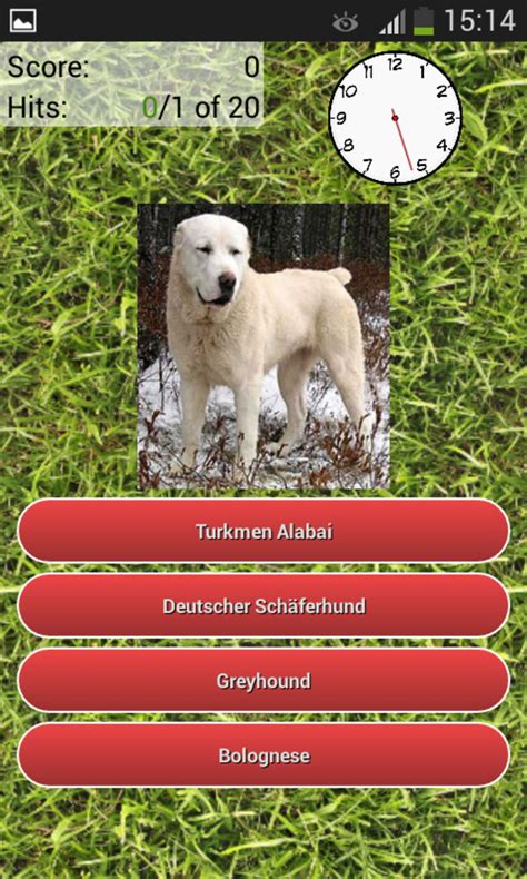 Dog Breeds Quiz Apk For Android Download