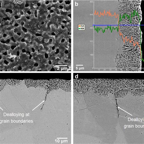 Surface A And Cross Sectional Bse Micrograph B Of The Dealloyed