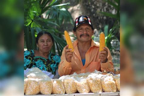 La Jornada Maya Yucatán Rodrigo Medina Este domingo Sotuta