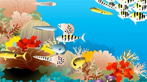 Build-a-Fish | Shedd Aquarium | PBS LearningMedia