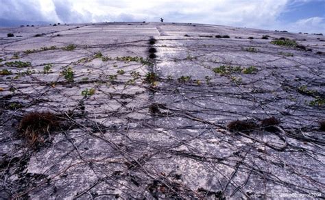 Runit Dome: The Radioactive Trash Can on Enewetak Atoll