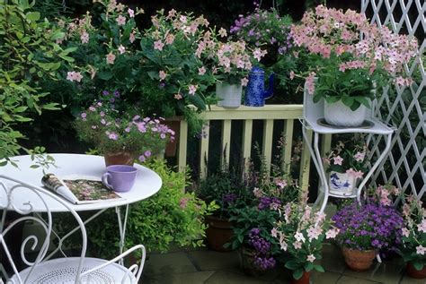 How To Grow Shrubs In Pots British Green Thumb