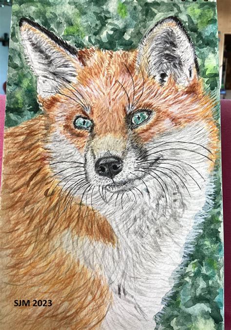 Fox painting in watercolor by tulipteardrops on DeviantArt