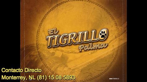 El Tigrillo Palma Contrataciones Directas Monterrey NL 81 15 08 5893