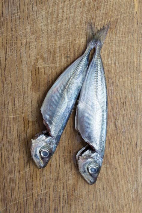 Fresh Sardines Or Mackerel Stock Photo Image Of Diet 116022776