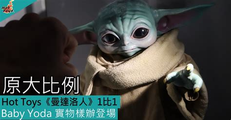 Hot Toys Star Wars曼達洛人 比 Baby Yoda 可動人偶實物樣辦登場 Toys Zone D 玩具兄弟 Figures Price List Reviews