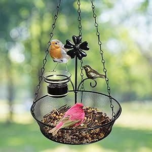 Amazon Alladinbox Outdoor Hanging Bird Feeder Tray Metal Mesh