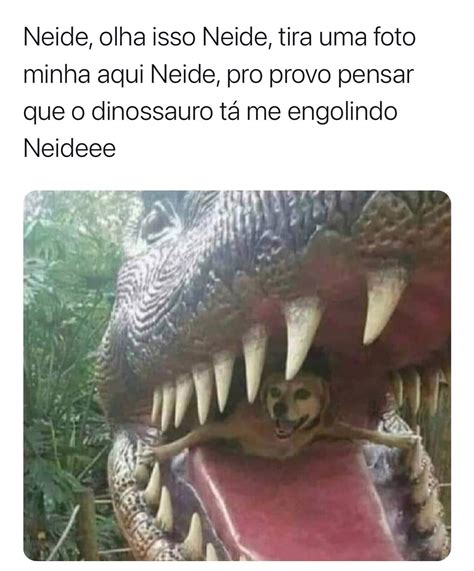 Neide Olha Isso Neide Tira Uma Foto Minha Aqui Neide Pro Provo