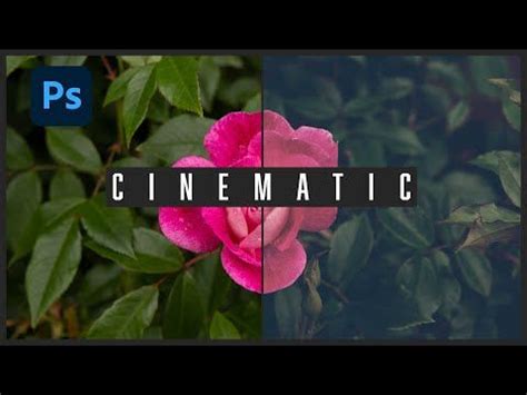 Create A Cinematic Effect In Photoshop Color Grading Photoshop