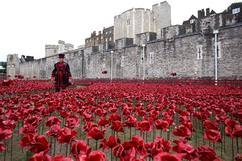 Poppies at the Tower of London | A Unique Tenerife Blog – Queenie's ...