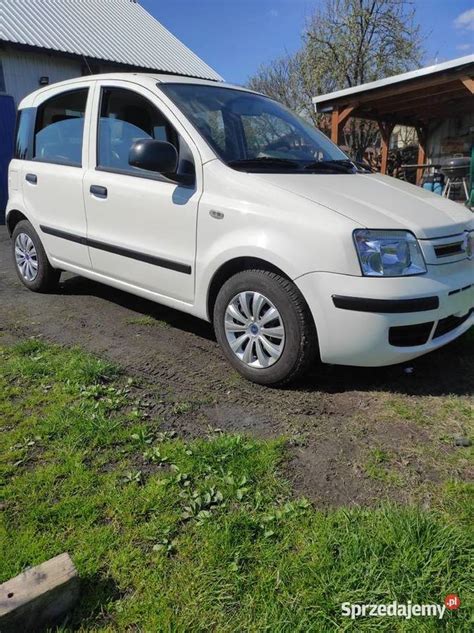 Fiat Panda 2010 Rok Lift Starachowice Sprzedajemy Pl