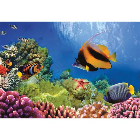 Lang Coral Reef Jigsaw Puzzle Jigsaw Michaels