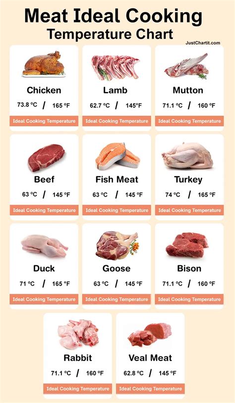 Temp Chart For Meat