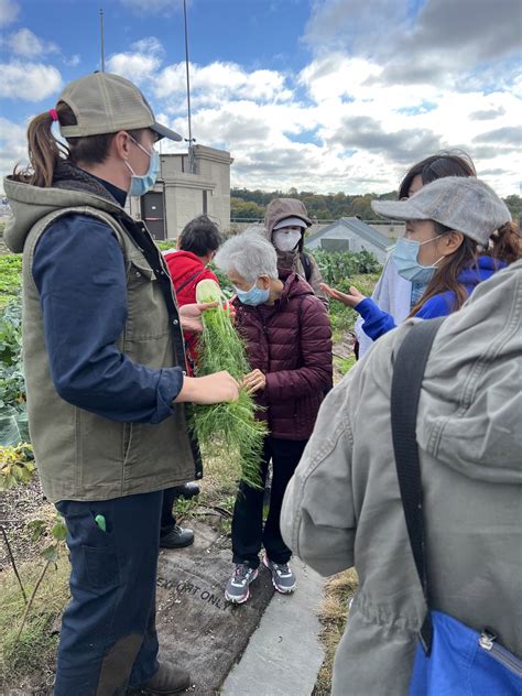 Geriatric Mental Health Initiative (GMHI) tours Brooklyn Grange