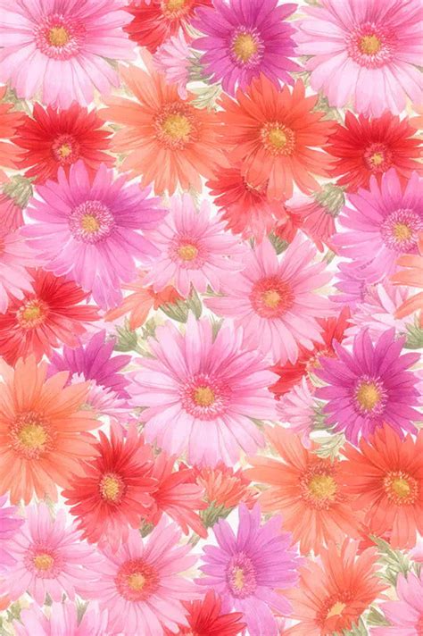 Details Nature Flower Background Hd Abzlocal Mx