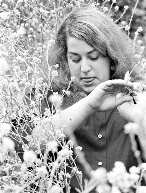 Mama Cass of the Mamas and the Papas, ca.... - BLISS