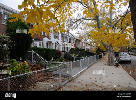 Suburban Homes On A Leafy Street In Astoria Queens New York America Usa