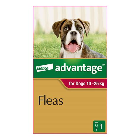 Buy Advantage For Extra Large Dogs Over 25kg Blue 1 Dose Online