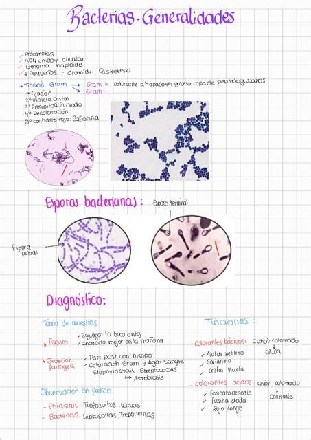 Bacterias Generalidades YANIS MIA MARAZA RODRIGUEZ UDocz