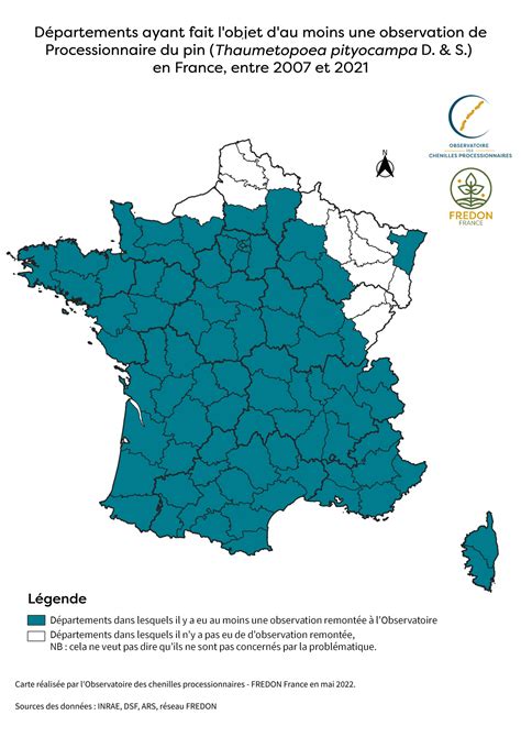 O Se Trouvent Les Chenilles Processionnaires En France Chenille Risque