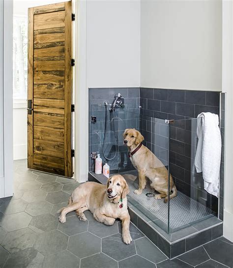 12 Wet Room Ideas To Transform Your Bathroom Qs Supplies Dog