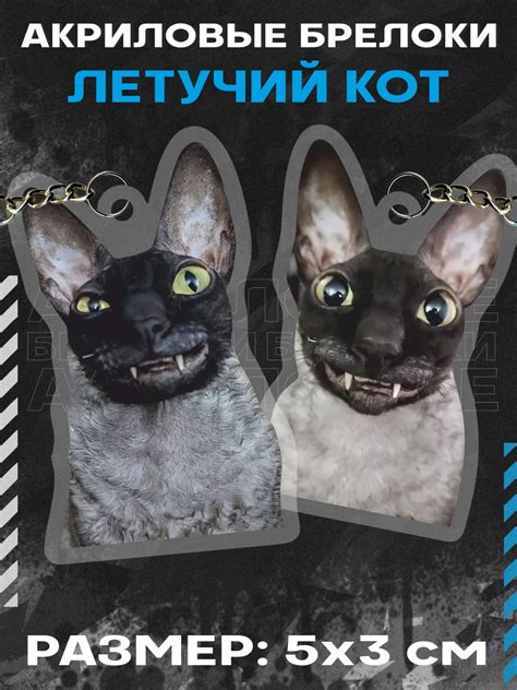 Ядовит и летуч кот — купить по низкой цене на Яндекс Маркете