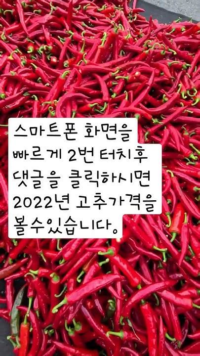 2022년 건고추가격 고추가루가격 고추왕김동수 Youtube