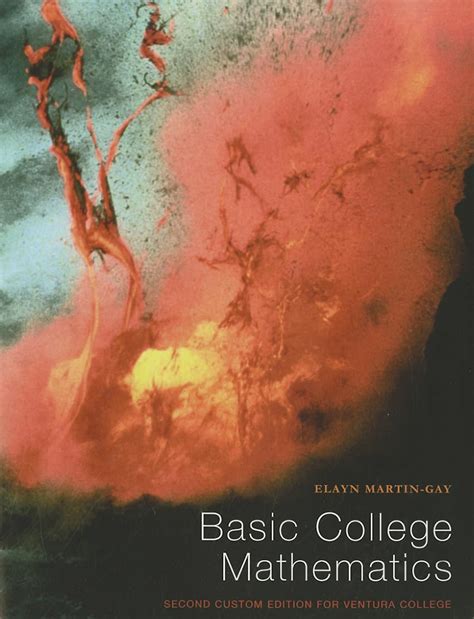 Basic College Mathematics Elayn Martin Gay 9781256334477 Amazon Books